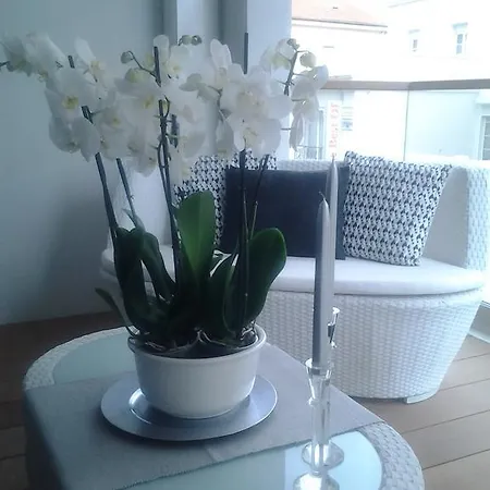 7 Croisette Apartment